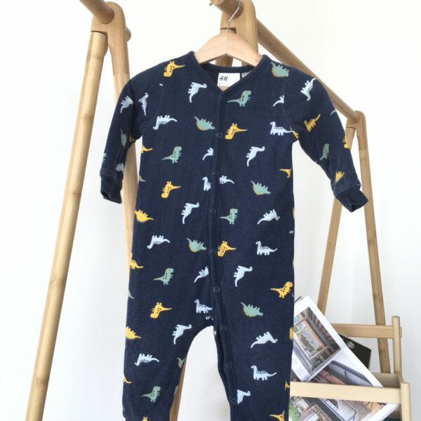 Dinosaur Pajamas ชุดนอนคอกลมขายาวลายไดโนเสาร์