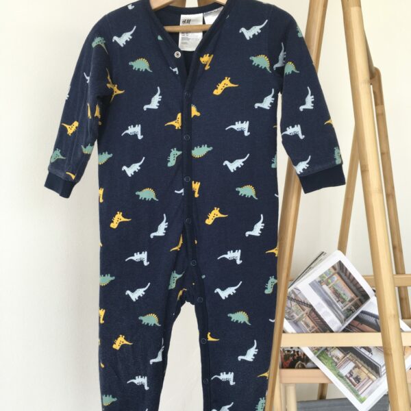 Dinosaur Pajamas ชุดนอนคอกลมขายาวลายไดโนเสาร์