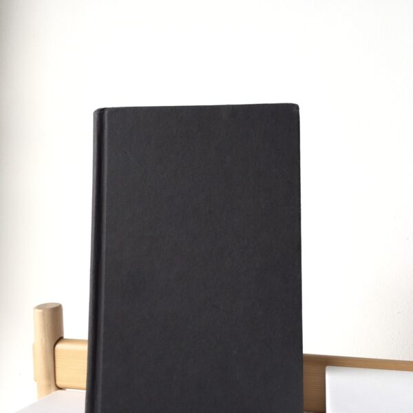 Return to the Isle of the Lost หนังสือกลับไปที่เกาะแห่งความสาบสูญ