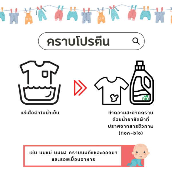 คราบโปรตีน